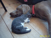 Kuschelrunde
